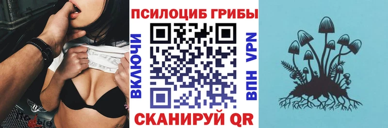Псилоцибиновые грибы Psilocybe  наркота  Тулун 