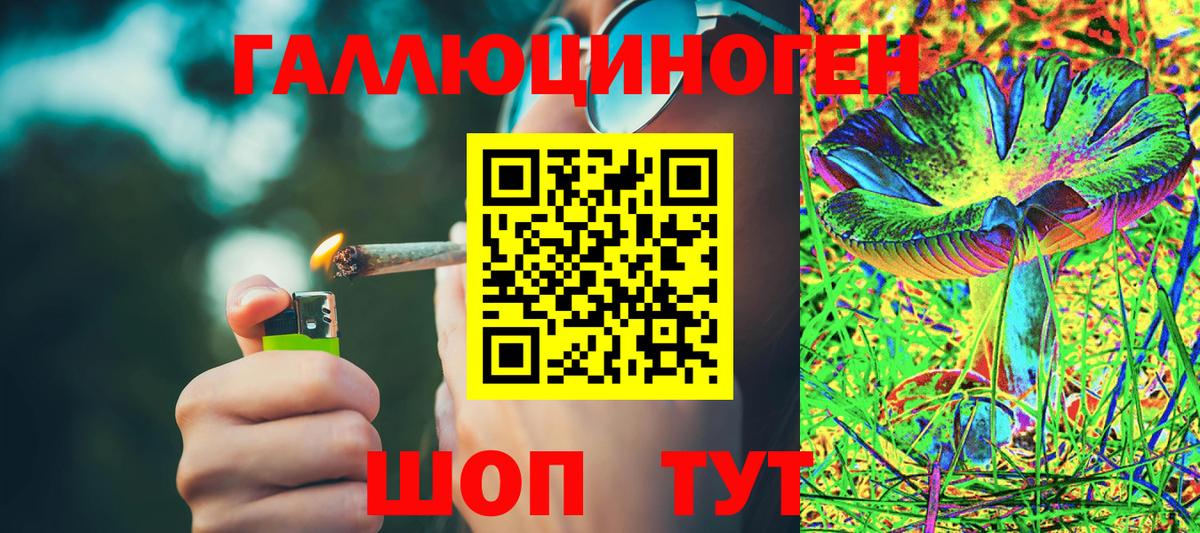 Галлюциногенные грибы мицелий  Вход с VPN  Галлюциногенные грибы прущие грибы  Тулун 